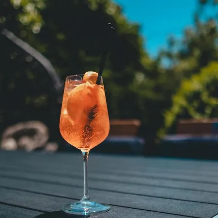 Delta Est & Restaurant 3* سولينا